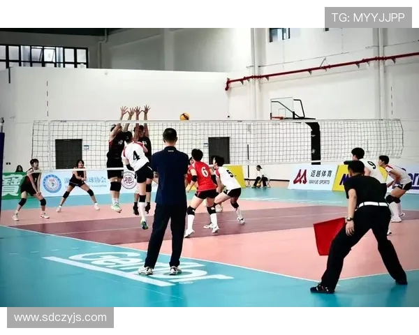 上海排球队的拼搏之路:一段不屈不挠的奋斗纪实 上海排球队的拼搏之路:一段不屈不挠的奋斗纪实