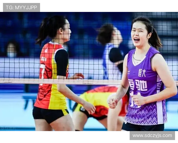 上海排球队个人能力分析及其对比赛成绩的影响研究 上海排球队个人能力分析及其对比赛成绩的影响研究