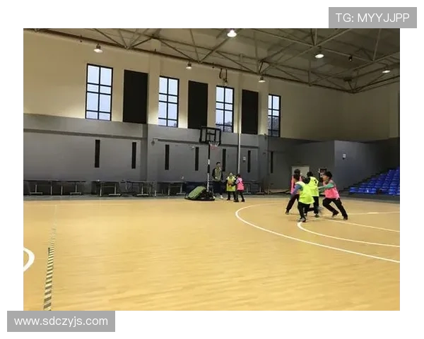 与杨娜的深度对话：回顾她的篮球生涯与未来展望