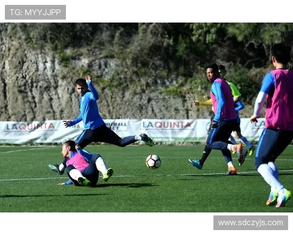 专访杨强：深入探讨足球成功背后的秘密与策略