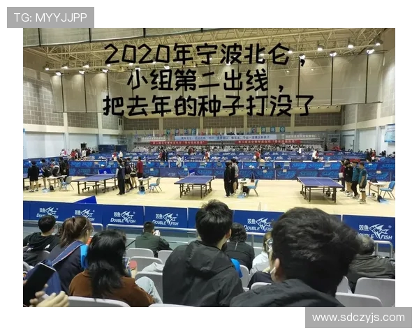 专访刘丽：探寻乒乓球冠军背后的训练与心路历程