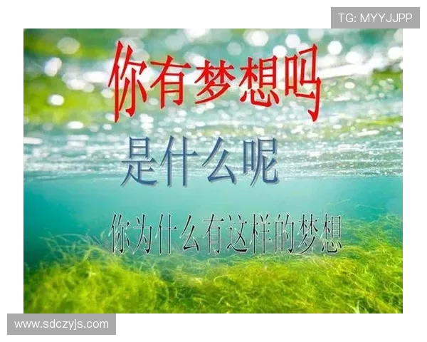 乒乓球场上的奋斗与梦想:吴丽的深度人生对话分享 乒乓球场上的奋斗与梦想:吴丽的深度人生对话分享