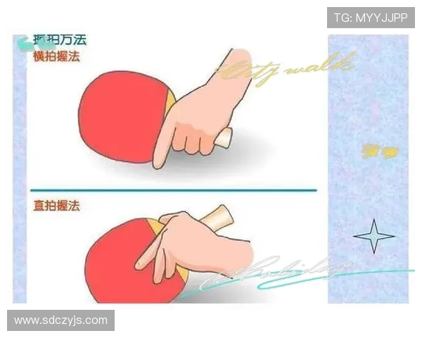 从零基础到乒乓球高手的全面技术提升指南与实战技巧分享