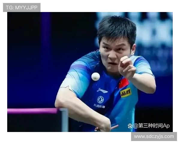 南京乒乓球队大满贯赛中的团队协作精神与表现分析