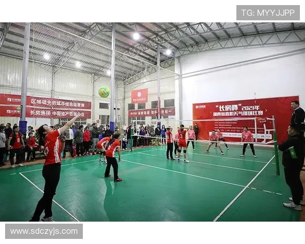 南京排球队实力飙升创历史新高引发广泛关注与期待