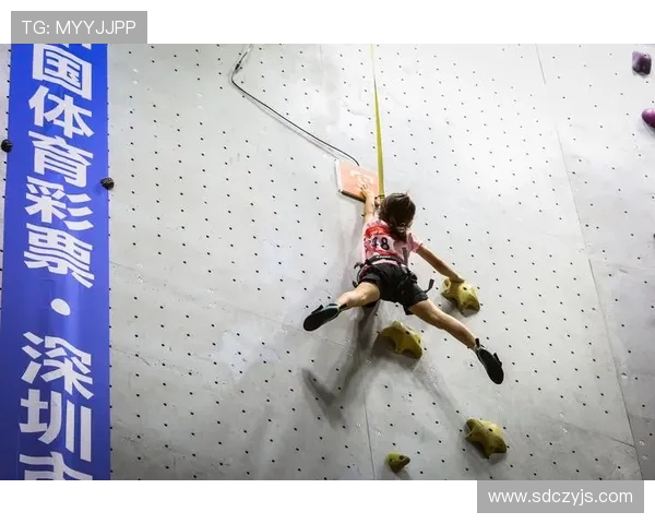 南京攀岩队与上海攀岩队赛后心理素质分析与反思