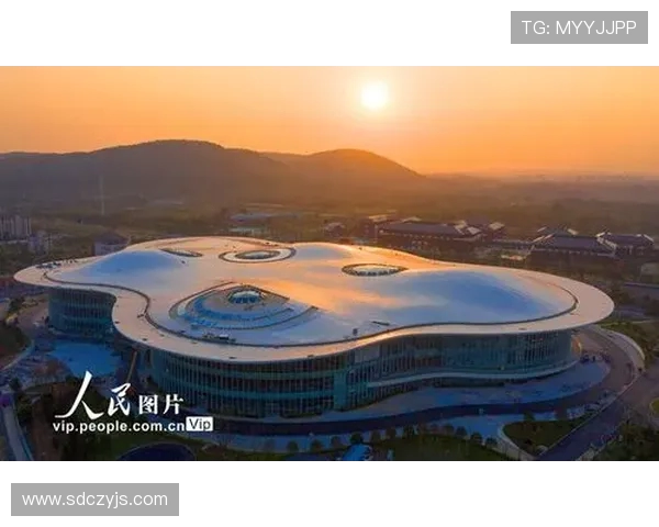 南京极限运动队荣登全国团队协作排行榜第二名展现卓越实力