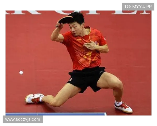 成都乒乓球队实力变革引发热议新篇章展现乒乓球未来潜力与希望