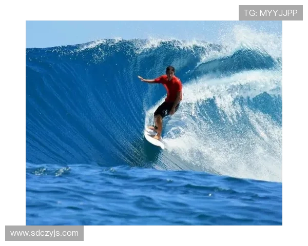 极限运动的魅力与挑战：探秘成都极限运动队的成功运营之道