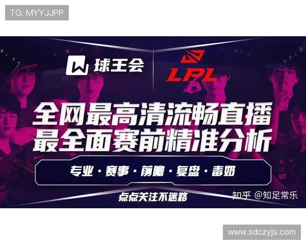 深入探讨英雄联盟战队WE的意识与团队协作能力分析