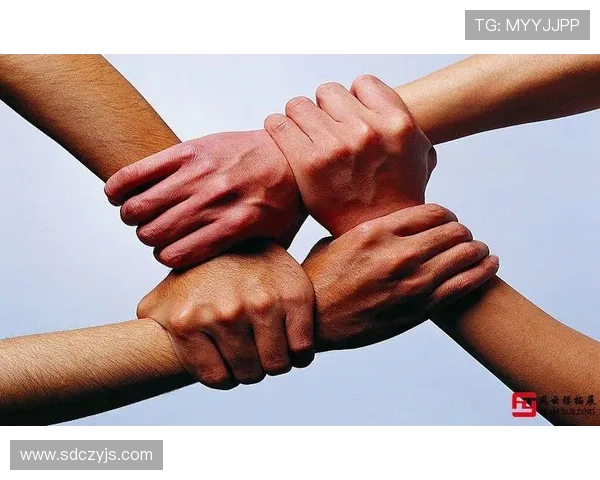 聚焦排球：探讨上海排球队在意识形态与团队文化建设中的重要性与影响