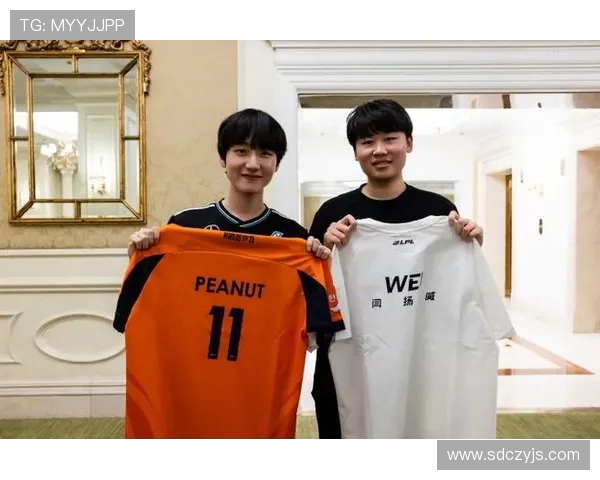 英雄联盟灵活性排行榜揭晓WE战队荣登第五名展现强大实力