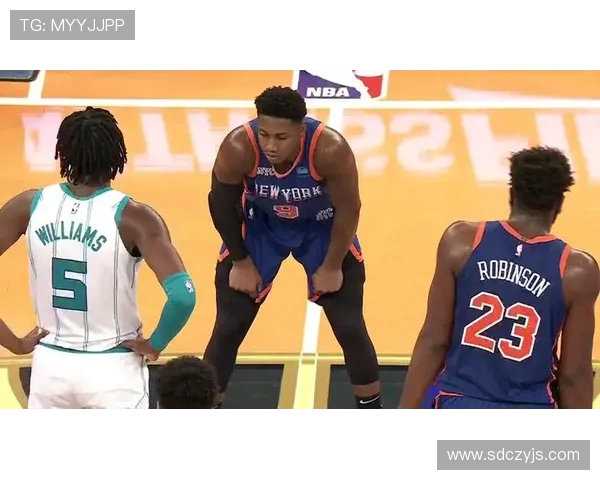 2017年尼克斯与黄蜂激战回顾球员表现与精彩瞬间全解析 2017年尼克斯与黄蜂激战回顾球员表现与精彩瞬间全解析