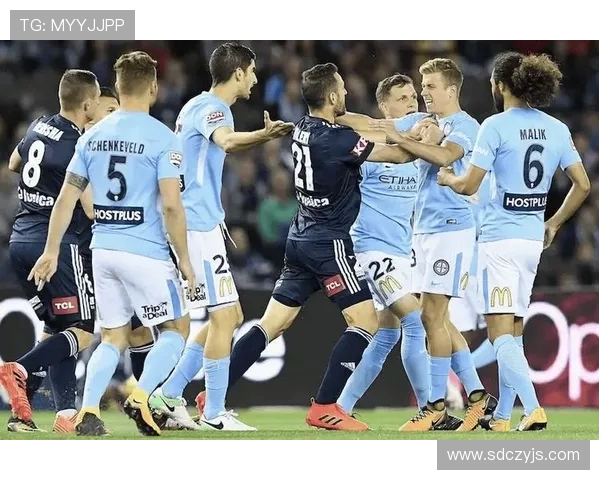 2018年卡尔马对阵天狼星比赛最新动态与精彩回顾分析 2018年卡尔马对阵天狼星比赛最新动态与精彩回顾分析