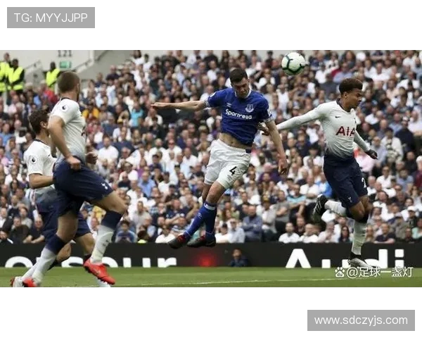 埃弗顿与热刺精彩对决全场录像回放及精彩瞬间分析