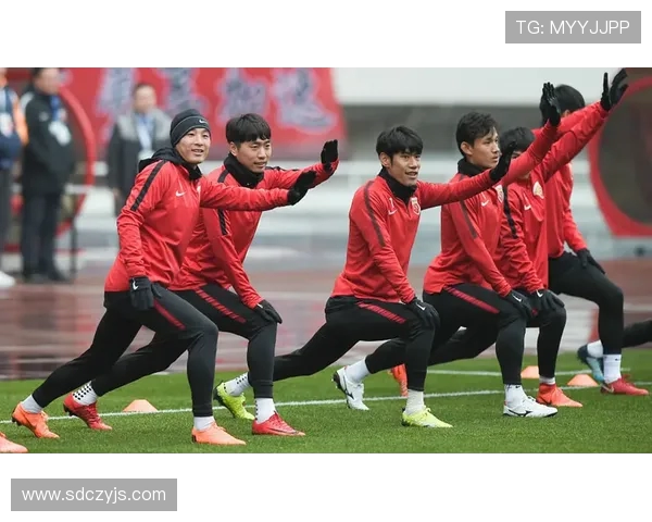 墨尔本对阵上港足球赛门票信息及购票攻略分享