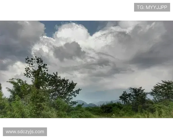 德国与智利激战正酣实况转播精彩瞬间全记录 德国与智利激战正酣实况转播精彩瞬间全记录