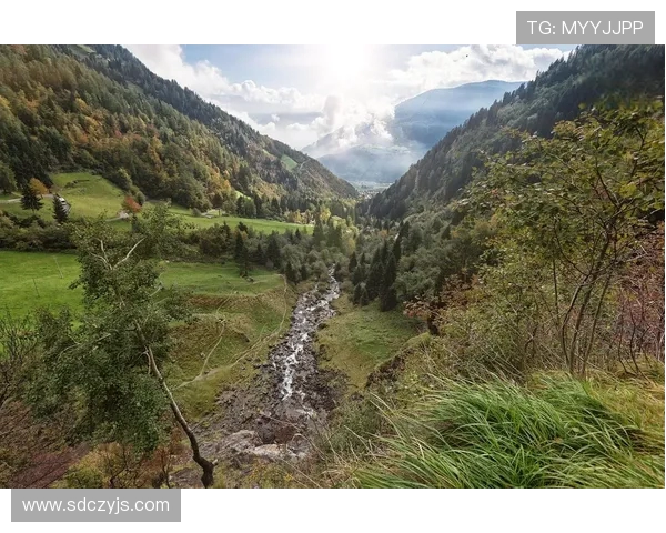 探索阿拉巴的文化魅力与自然风光，揭开这片神秘土地的历史面纱
