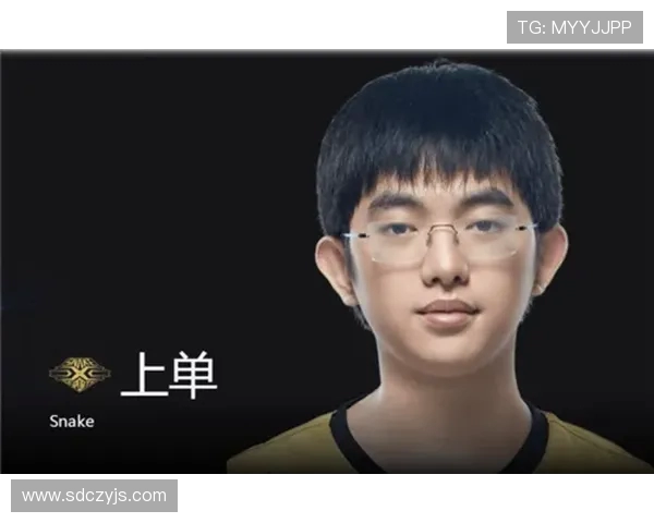 深入分析EDG战队的区域防守策略与战术执行细节