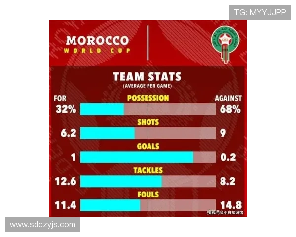 深圳羽毛球队防守体系解析与战术运用探讨 深圳羽毛球队防守体系解析与战术运用探讨