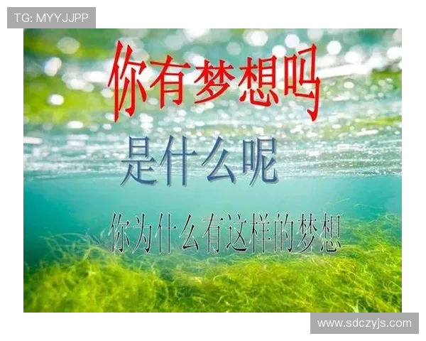 乒乓球场上的奋斗与成长李丽的深度人生对话分享