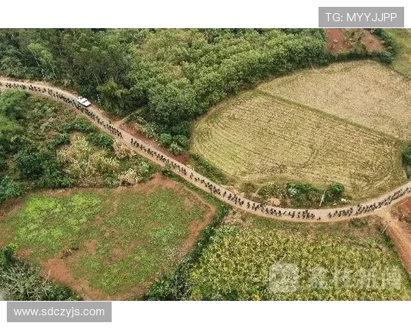 南京与武汉极限运动队赛后战术分析与总结探讨 南京与武汉极限运动队赛后战术分析与总结探讨