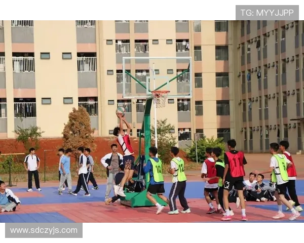 南京篮球队的奋斗之路：一段激情与坚持交织的篮球纪实故事