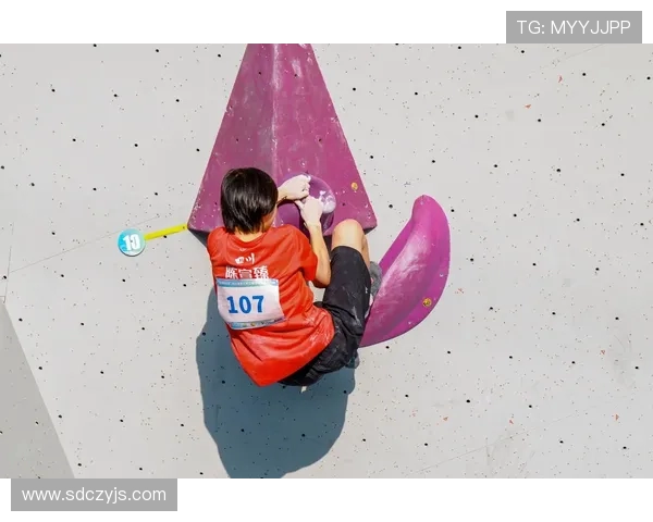 南京飞盘队在世界攀岩锦标赛中的灵活性表现引发广泛关注与讨论