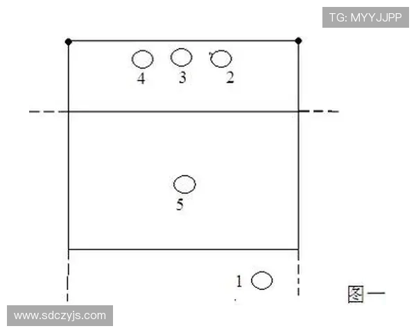 成都排球队节奏对比深度解析与战术探讨